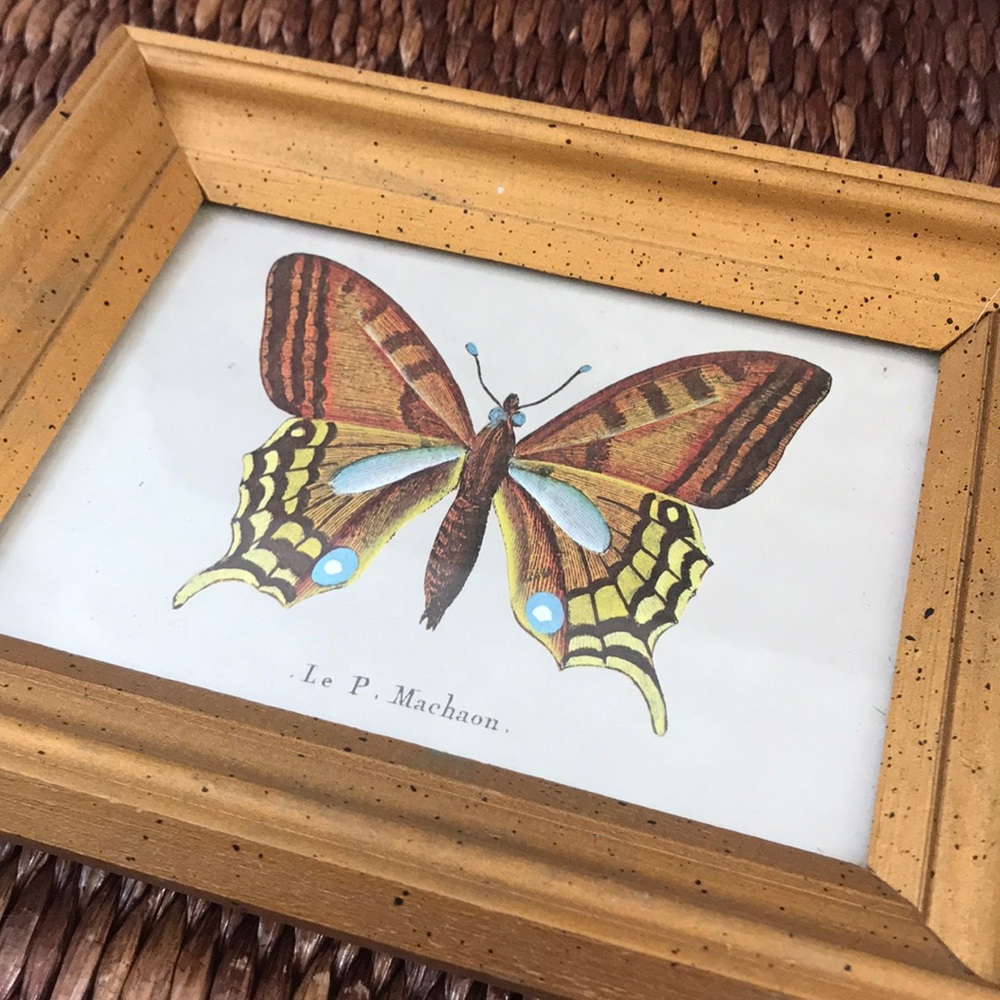 Butterfly Print - Picture 2 of 4